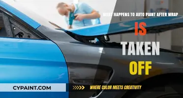 Unwrapping the Truth: Auto Paint's Condition Post-Wrap Removal