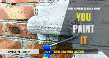 Painting Brick: Effects, Durability, and Aesthetic Changes Explained