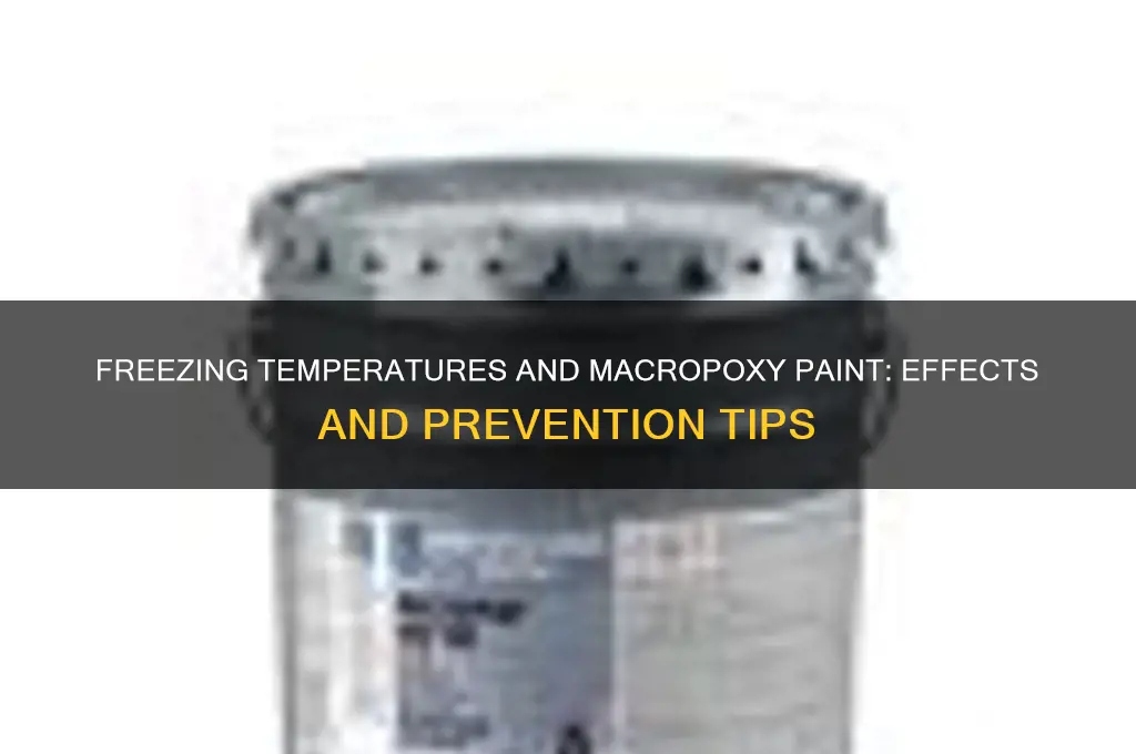 what happens to macropoxy paint when it freezes