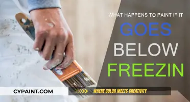 Freezing Paint: What Happens in Sub-Zero Temperatures?