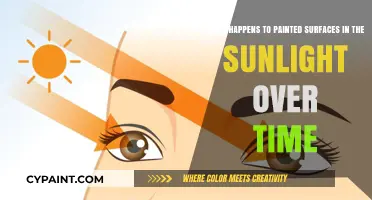 Sunlight's Impact: The Evolution of Painted Surfaces Over Time