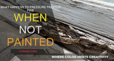 The Truth About Untreated Pressure-Treated Pine