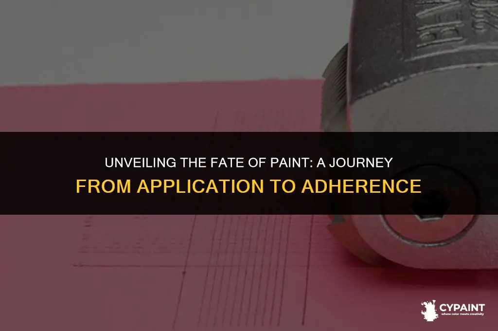 what happens to the paint after applied to the surface