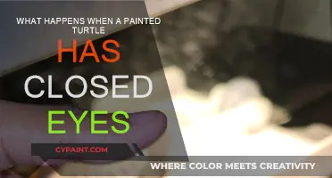 Painted Turtle's Closed Eyes: A Sign of Sickness?