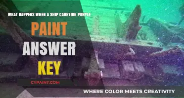 Unveiling the Mystery: Shipwreck's Purple Paint Cargo