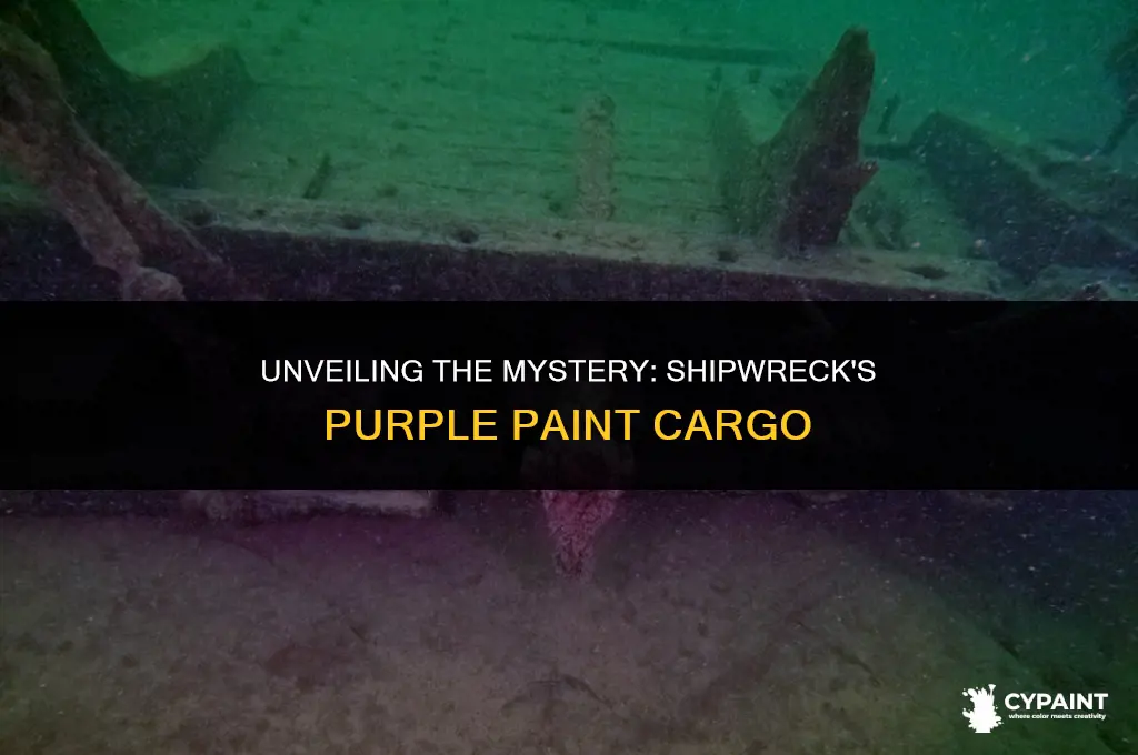 what happens when a ship carrying purple paint answer key