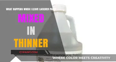 Lacquer Paint and Thinner Mixture: What Happens When Left Combined?