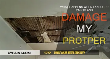 How to Handle Landlord's Property Damage During Repairs
