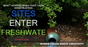 How Paint Pollution Impacts Freshwater Ecosystems