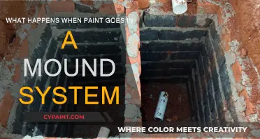 How Paint Harms Mound Septic Systems