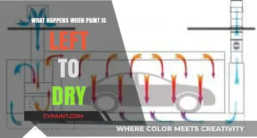 The Surprising Effects of Paint Drying: A Comprehensive Guide