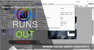 Paint Tool Sai Trial: What Happens When It Ends?