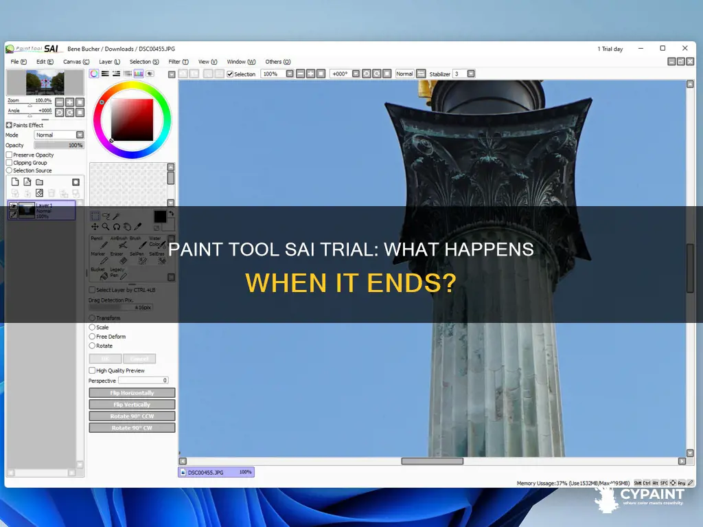 Paint Tool Sai Trial: What Happens When It Ends? | CyPaint