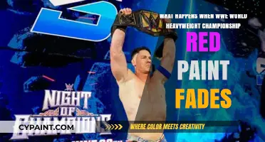 The Fading Legacy: WWE World Heavyweight Championship's Red Paint Dilemma