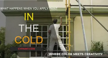 Cold Weather Painting: What You Should Know