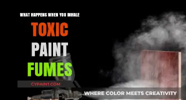 Inhaling Toxic Paint Fumes: Health Risks and Safety Precautions