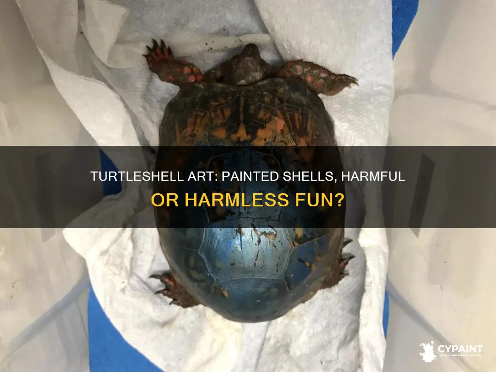 what happens when you paint a turtle
