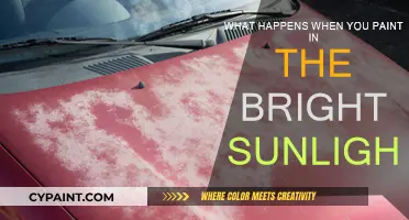 Painting in Sunlight: Glare, Heat, and Creative Challenges