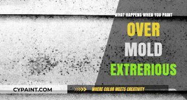 Painting Over Exterior Mold: Risks, Consequences, and Proper Solutions