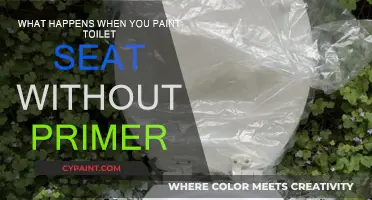 Toilet Seat Painting: Primer-less Results