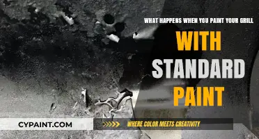 Grill Painting Pitfalls: Why Standard Paint Isn't the Best Choice