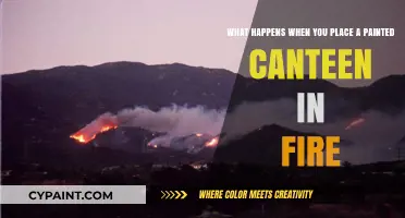 The Art of Survival: Canteen Painting and Fire Safety