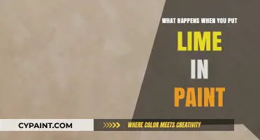 Lime in Paint: Effects, Benefits, and Potential Risks Explained