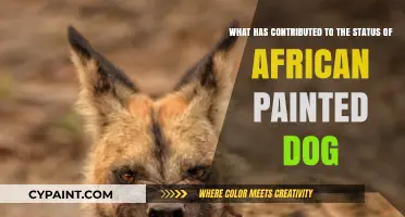 Unraveling the Mysteries: Factors Behind the African Painted Dog's Status