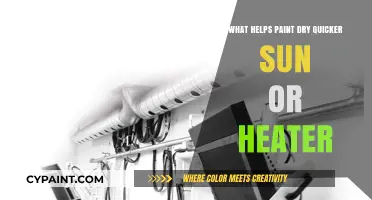 Sun vs. Heater: Which Speeds Up Paint Drying Time Faster?