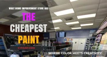 Discover the Most Affordable Paint Options at Home Improvement Stores