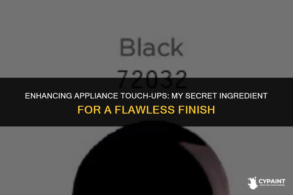 what i add to appliance touch up paint to lossen