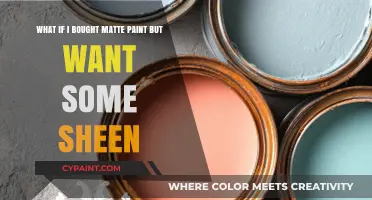 From Matte to Sheen: Transforming Your Paint Finish