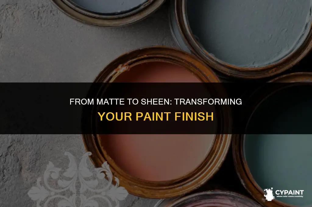 what if i bought matte paint but want some sheen