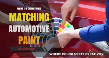 Can't Find Matching Automotive Paint? Solutions and Alternatives Revealed