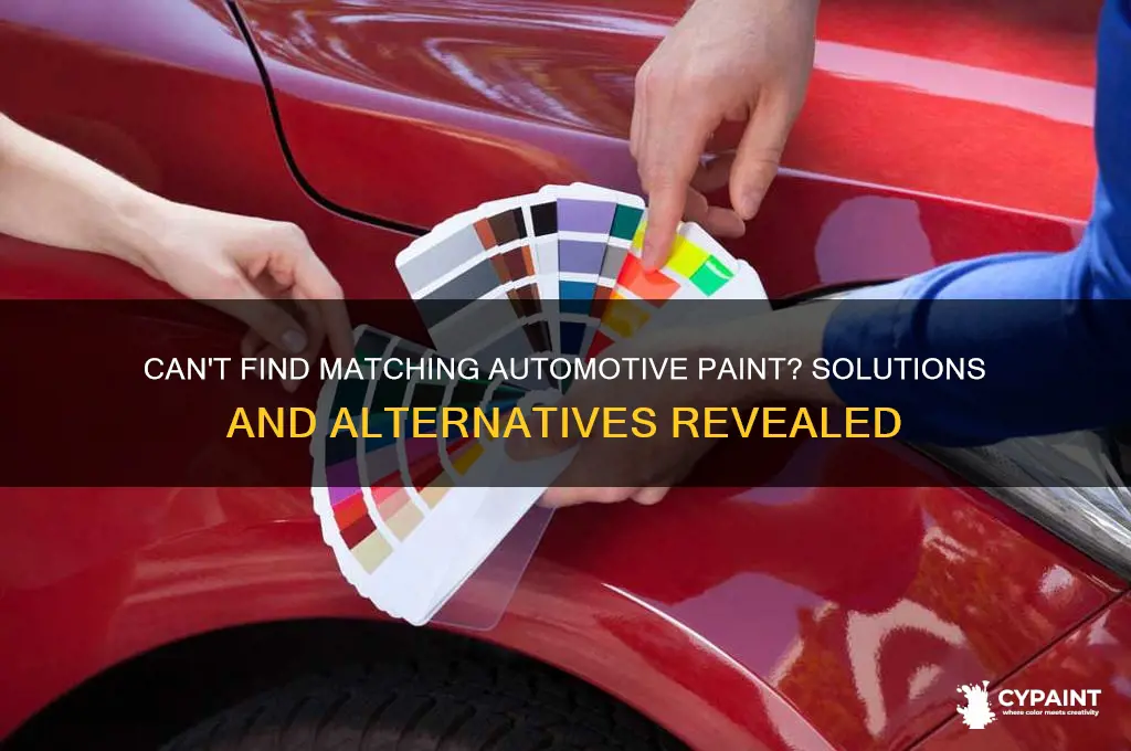 what if i cannot find matching automotive paint