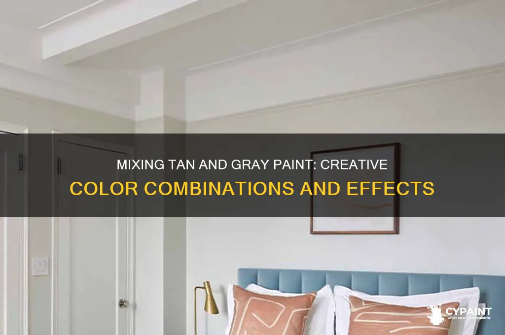 what if i mix tan and gray paint