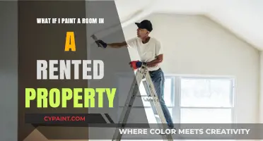 Transforming Your Rented Space: The Art of Painting a Room