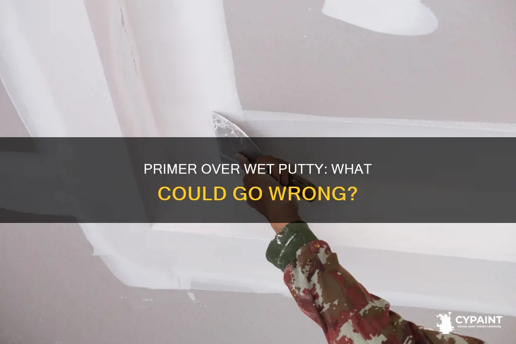 what if i paint over wet painter