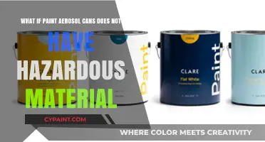 Exploring a Safer Alternative: Non-Hazardous Paint Aerosol Cans