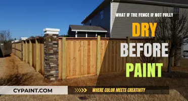 Painting a Damp Fence: Risks and Remedies for a Flawless Finish