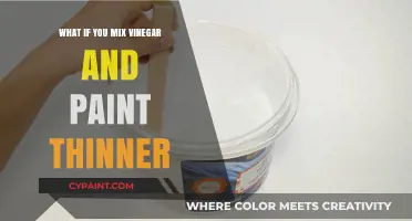 Mixing Vinegar and Paint Thinner: Risks, Reactions, and Safety Tips
