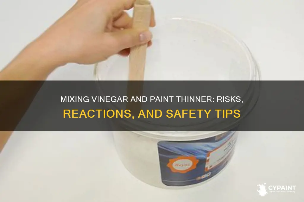 what if you mix vinegar and paint thinner