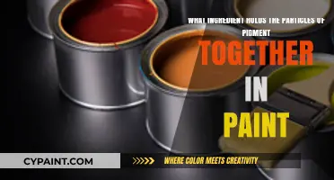 Unlocking the Secret: The Binder's Role in Paint Formulation