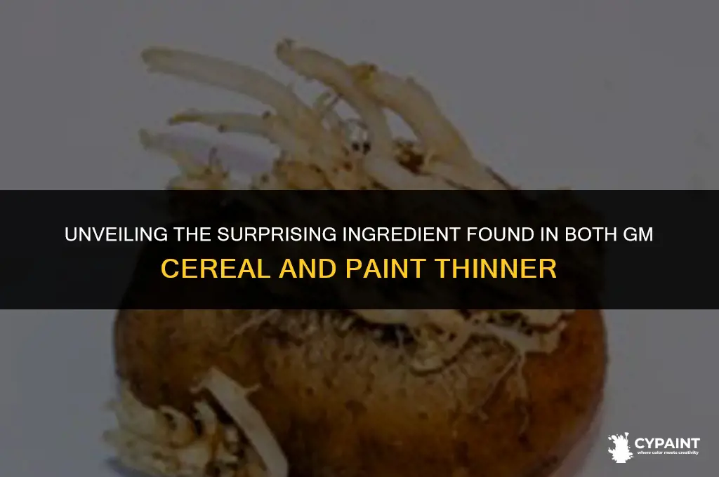 what ingredient is in both gm cereal and paint thinner