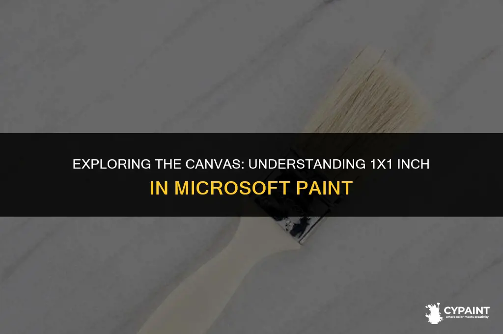 what is 1 inch by 1 inch in microsoft paint