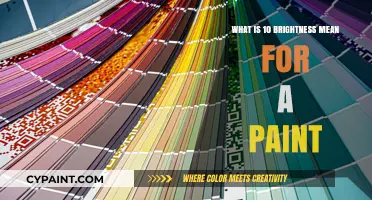 Understanding Paint Brightness: Decoding the Meaning of 10 on the Scale
