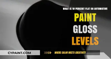 Decoding Automotive Paint Gloss: The Impact of 10% Flat