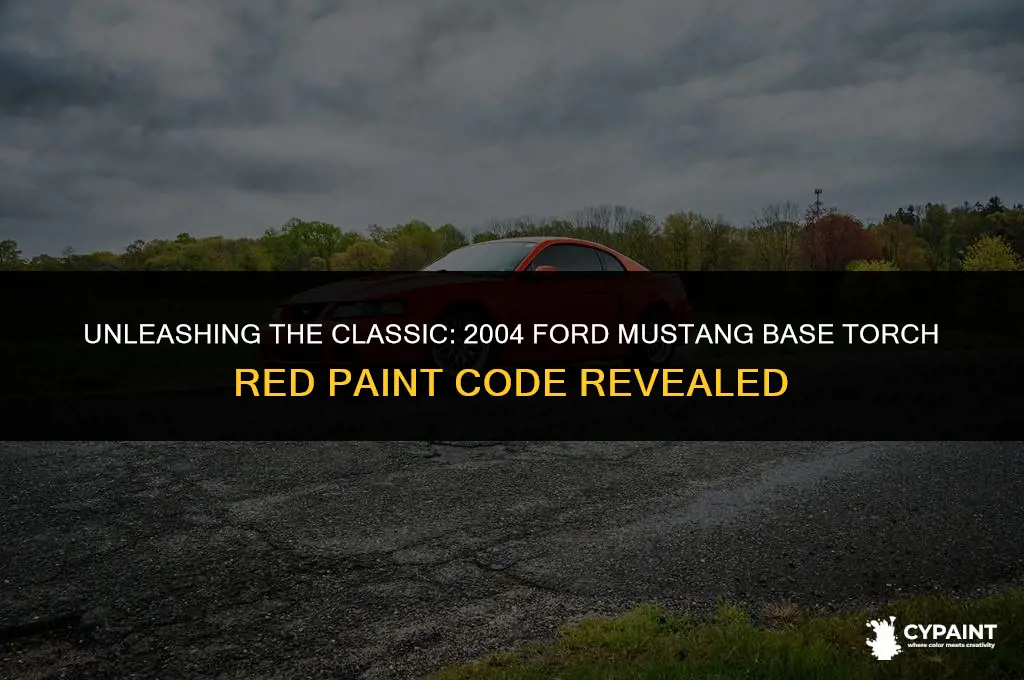 what is 2004 ford mustang base torch red paint code