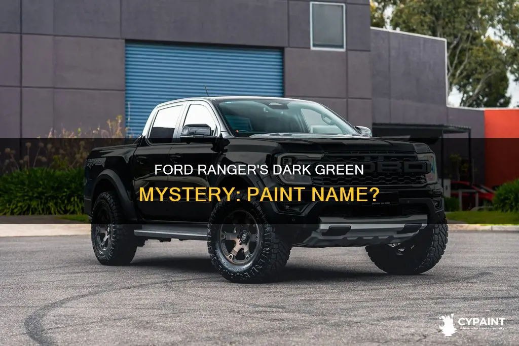 what is 2005 ford ranger dark green paint called