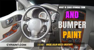 Hyundai 2005 Trim and Bumper Paint: A Comprehensive Guide